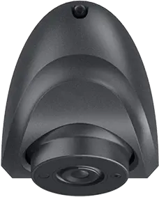 Side Cameras